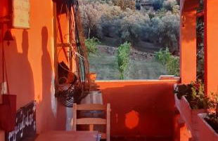 Poggio agli Ulivi vicolo di Colle Reti 22 Frascati - Foto 11