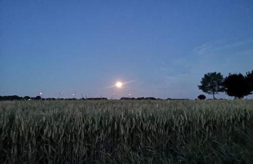 Apartment "Paris" - Photo 73