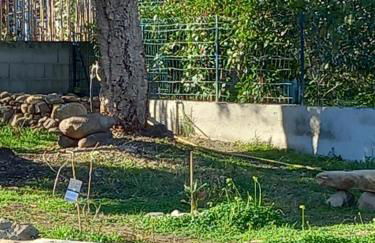 Casa di l Alivetu - Foto 13