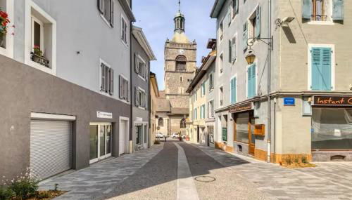 Hypercentre, à deux pas du Lac - Foto 4