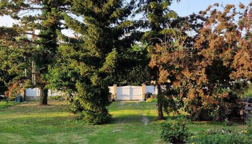 Studio mezzanine à proximité du parc Disneyland - Foto 5, Garden, Garden view