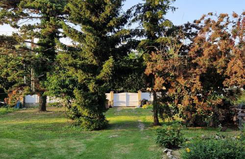 Studio mezzanine à proximité du parc Disneyland - Foto 5