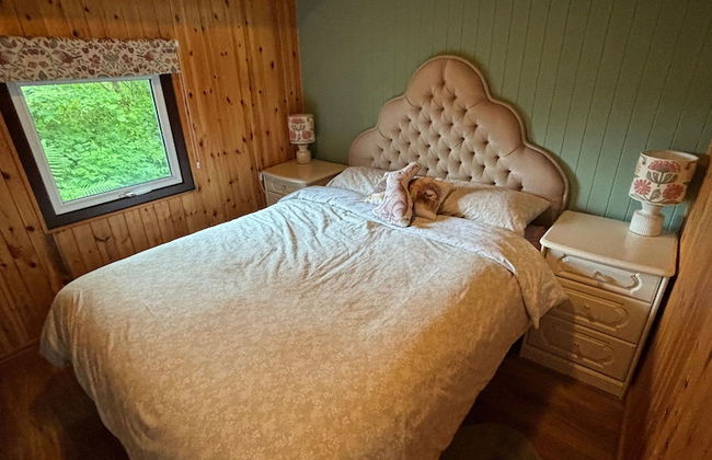 11 Tan-y-coed Woodland Lodge - Foto 6