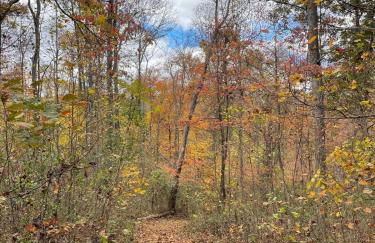 The Briar House - Foto 28