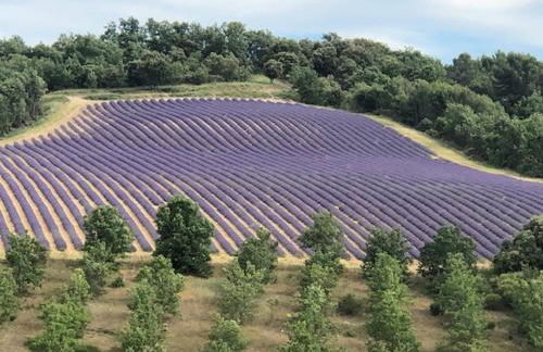 Le petit Saint Clair - Foto 17