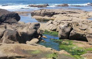 Varandas da Sandia - Foto 35