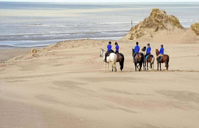 Sunny Escape by the Shore - Photo 24