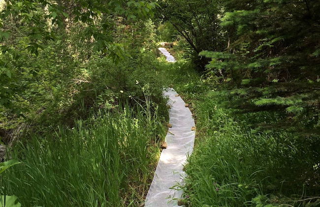 Treehouse by the Stream - Photo 18