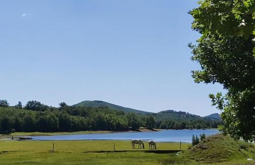 The Strawhouse under the mountain - Foto 59