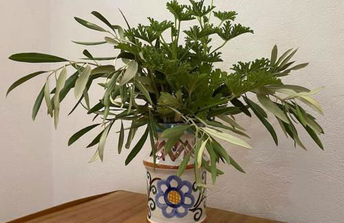 Villa Aura - Thymari - Foto 31