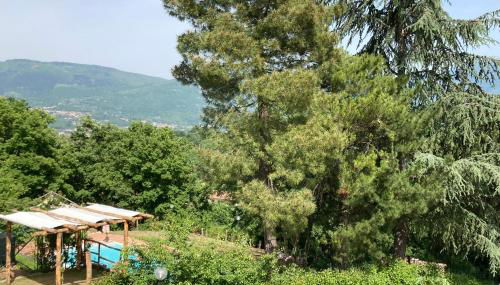 Villa Gioia relax immersi nel verde - Foto 2