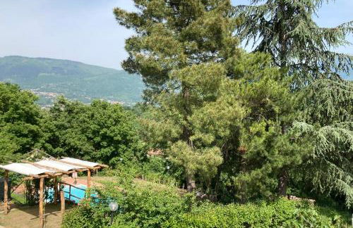 Villa Gioia relax immersi nel verde - Foto 2