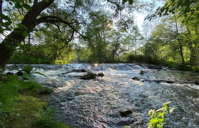 Welcoming Apartment in Meisdorf Near Nightlife - Foto 53