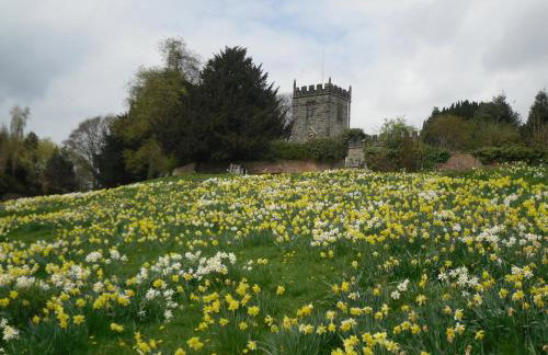 Cozy Cottage Retreat near Historic York - Photo 11