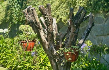 VILA GUIA in Valdreu - Foto 49