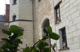 Manoir des Roches 41 - Foto 7