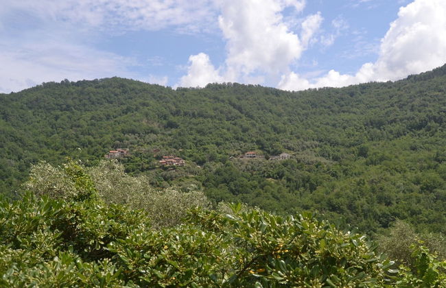 Nature Retreat in Testico - Foto 39