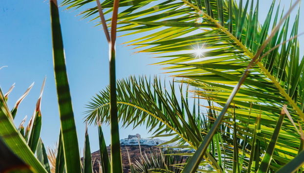 Vithos Aparthotel - Foto 5