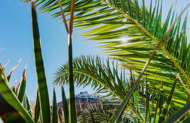 Vithos Aparthotel - Foto 5