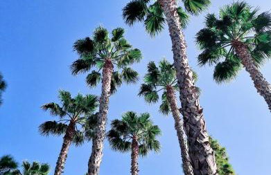 Apartment La Siesta - Foto 24