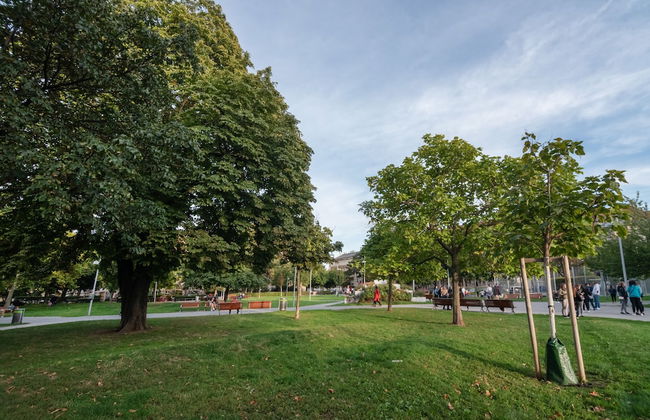 Cozy new stylish 15 min to the center - Foto 29