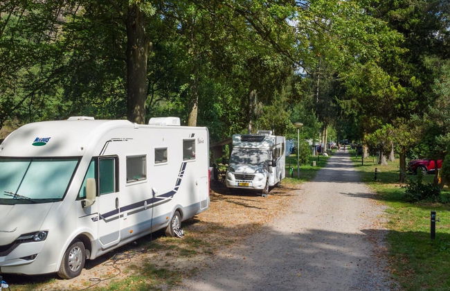 Castle Apartment in Aywaille Near River Ambleve - Photo 26