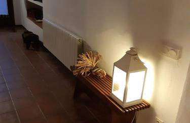 El Terral - Photo 18