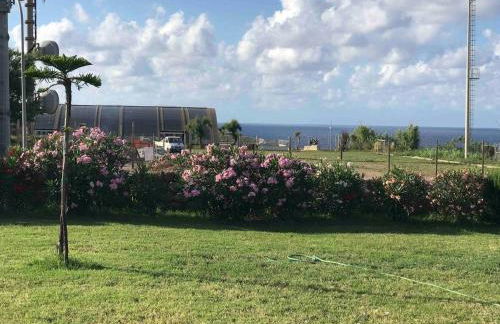 La Cantina - Foto 13