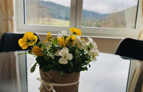 Ferienwohnungen Greve - Photo 29