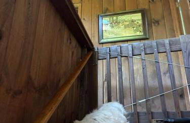 Lake Haven - Foto 29