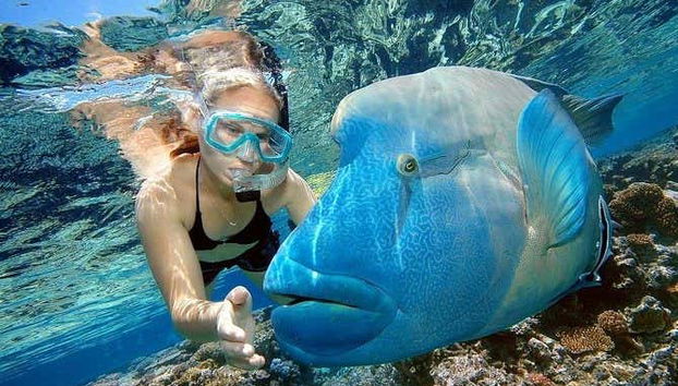 Orange Bay Speedboat Trip - Foto 5