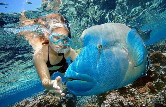 Orange Bay Speedboat Trip - Photo 5