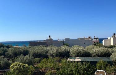 Nomads in the south - Foto 3