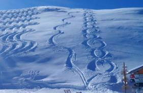 Apartment A 01 in St Martin de Belleville - Foto 4