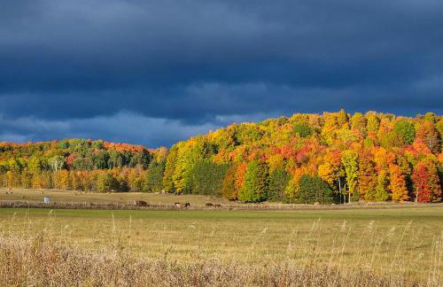 8 Mi to Crystal Mountain: Peaceful Up North Home - Foto 31