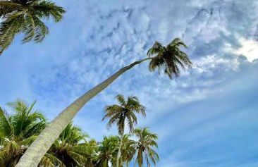 Apartamento Encantador Térreo Piscina B04 - Foto 24