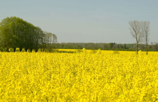 Jessen Modern Retreat - Foto 9