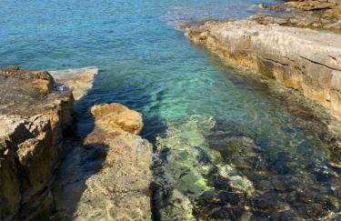 Kuća Kavrana - Foto 13