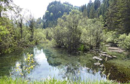 FW Weissensee 44 - Foto 37