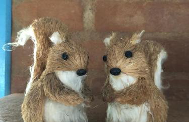 Chalé LuNê Vista para a Montanha , Banheira Imersão Externa e Lareira - Foto 55