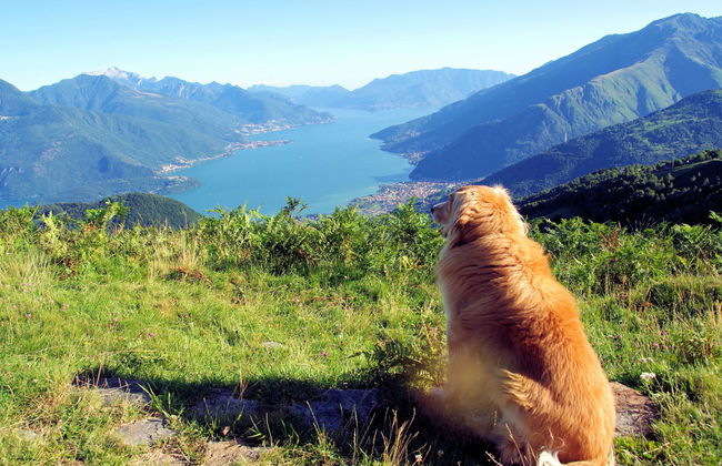 Le Baite di Bodone - Foto 23