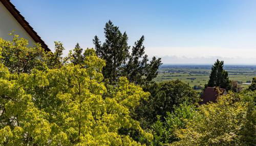 Hambach Waldschlössl - Foto 5