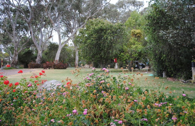 Padthaway Caravan Park - Foto 45