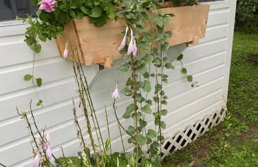 Bar Harbor Cottages & Suites - Foto 54