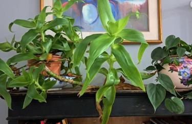 Appartamento Prenestina 74 - Foto 34