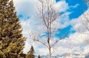 Ecrin cosy, calme, terrasse, nature et MontBlanc - Foto 30