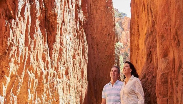 Lo mejor de Alice: tour de día completo - Foto 4