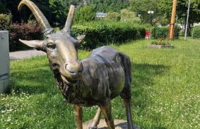 Gemütliches Ferienhaus "Glück" mit Gartensauna - Ideal für Familien & Paare - Foto 47