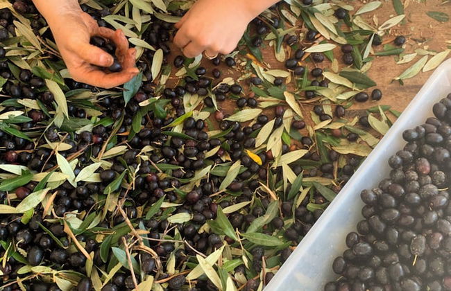 Sorelle Barnaba - Foto 63