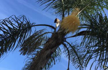 VN MOUNTAIN VIEWS PORTO - Foto 13